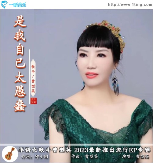 是我自己太愚蠢 （单曲）