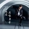 高兴全 你现在在谁身旁 （伴奏） 试听