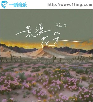 荒漠花朵 （单曲）