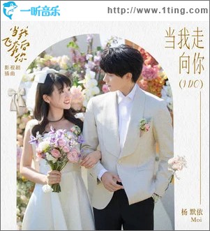 当我走向你 （单曲）