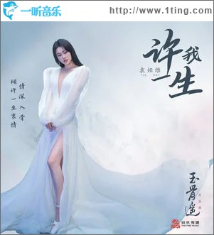 许我一生 （单曲）