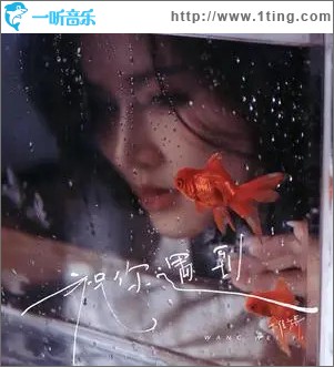祝你遇到 （单曲）