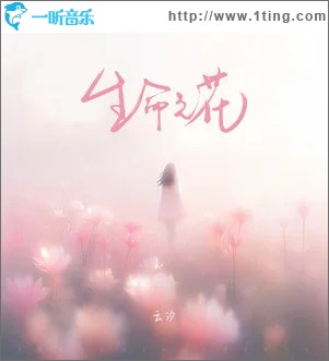 生命之花 （单曲）