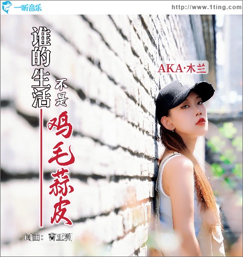 谁的生活不是鸡毛蒜皮 （单曲）