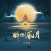 卢润泽 醉倒风月（伴奏） 试听