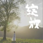 绽放 （单曲）详情