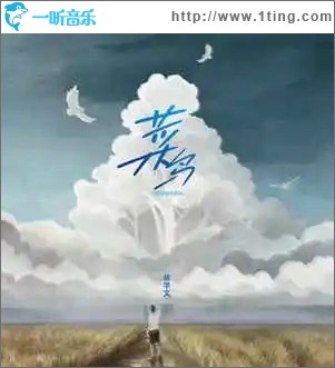 菜鸟 （单曲）