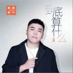 到底算什么（单曲）详情