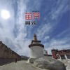 苗芽 （单曲）