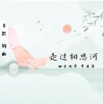 走过相思河（单曲）详情