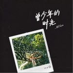 曾少年的时光 （单曲）详情