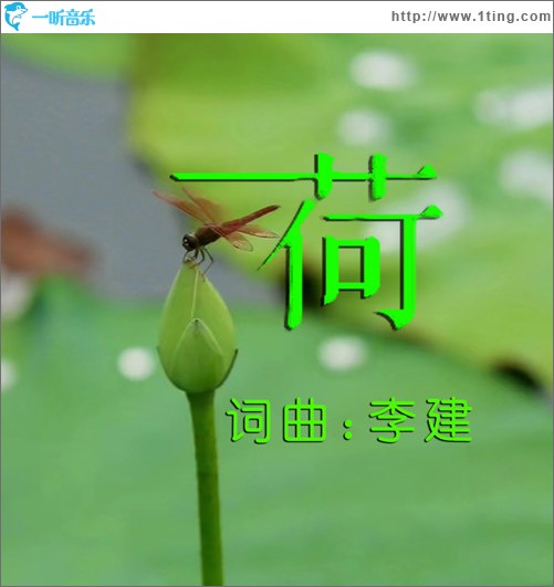 荷 （单曲）