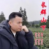 长群山下 （单曲）