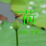 荷 （单曲）试听