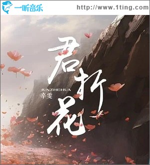 君折花 （单曲）