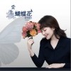 斯琴高丽 爱上蝴蝶花 试听