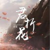 辛雯 君折花  试听