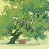 薛飞superman 外婆谣（温柔版） 试听