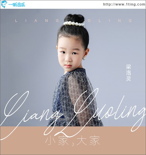 小家，大家 （单曲）