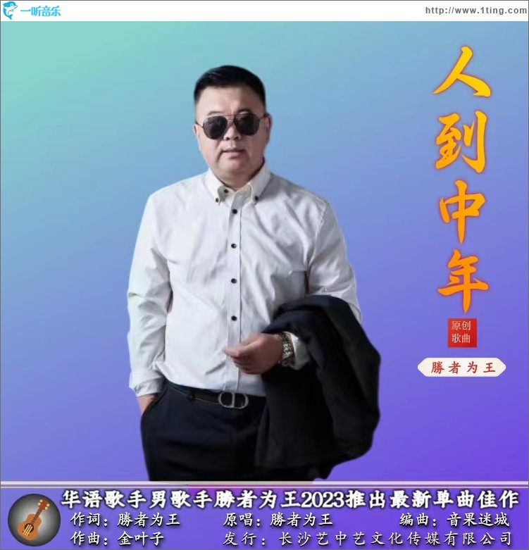 人到中年 （单曲）