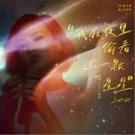 我在夜里偷看过一颗星星 （单曲）详情