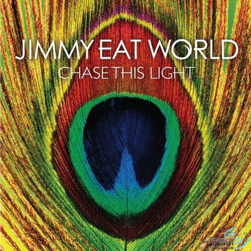 Chase The Light