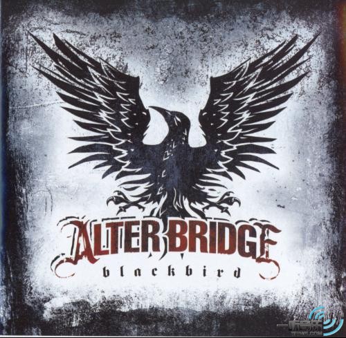 Blackbird