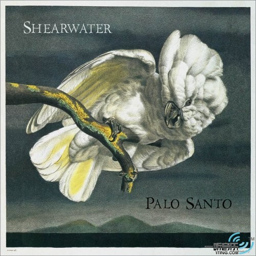 Palo Santo