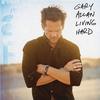 Gary Allen Wrecking Ball 试听
