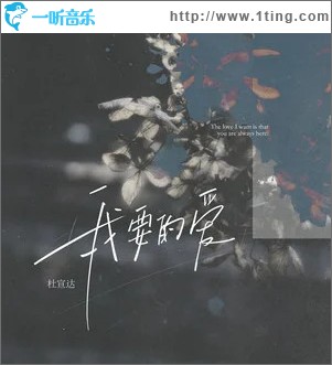 我要的爱 （单曲）