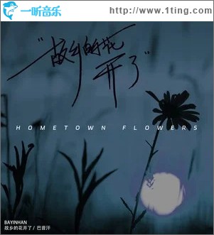 故乡的花开了 （单曲）