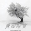 Crazy 爱的诺言 - Crazy /伊尔 /张昊晴 试听