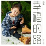 幸福的路 （单曲）详情