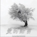 爱的诺言 （单曲）详情