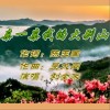 亲一亲我的大别山 （单曲）