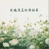 苏星婕 玫瑰再美终将枯萎 - 苏星婕 /pro 试听