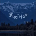 我犯了什么错 （单曲）