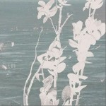 无菌箱 （单曲）详情