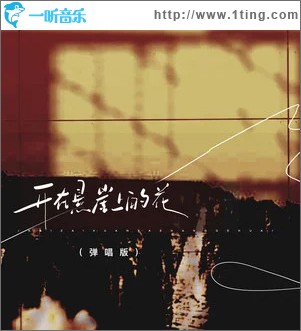 开在悬崖上的花（弹唱版） （单曲）
