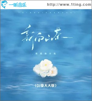 新白山茶 (DJ豪大大版) （单曲）