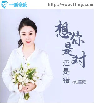 想你是对还是错 （单曲）