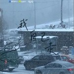 别催 （单曲）详情