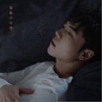 偏偏少年情 （单曲）
