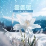 雪绒花 （单曲）