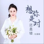 想你是对还是错 （单曲）