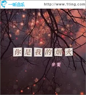 你是我的烟火 （单曲）