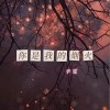 辛雯 你是我的烟火（伴奏） 试听