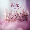 云汐 花冕（伴奏） 试听