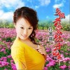 红蔷薇 与你共赏牡丹花开（伴奏） 试听