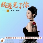 我遇见了你 （单曲）详情